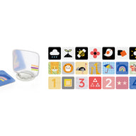 אוניברסיטה ניו בורן