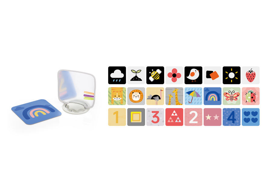 אוניברסיטה ניו בורן