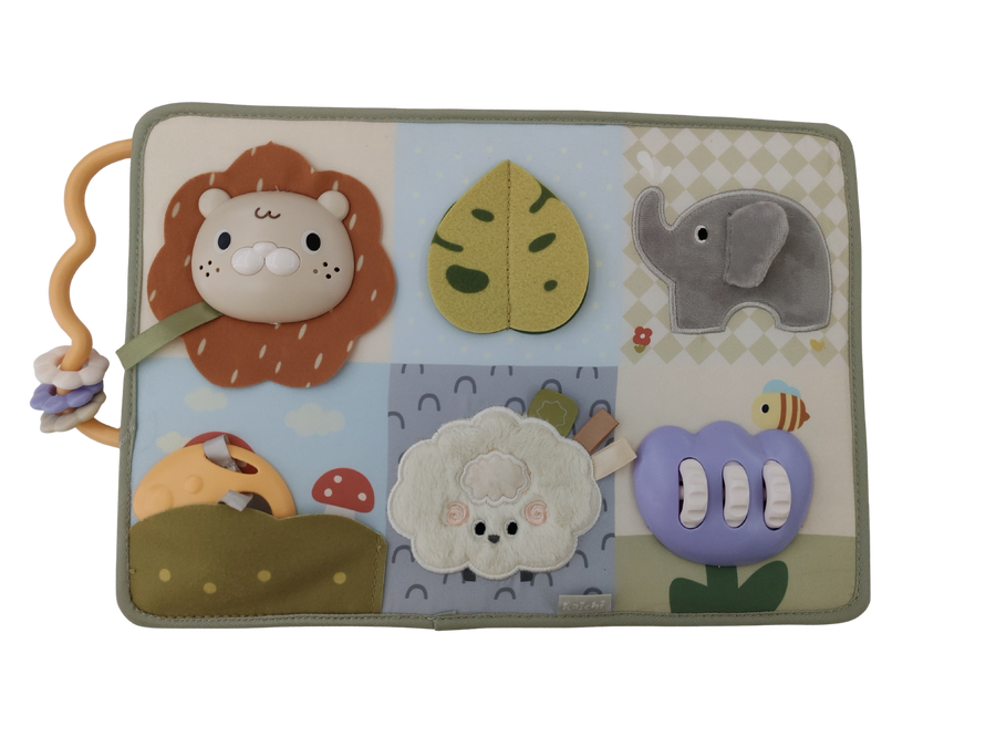 משטח פעילות תחושתי