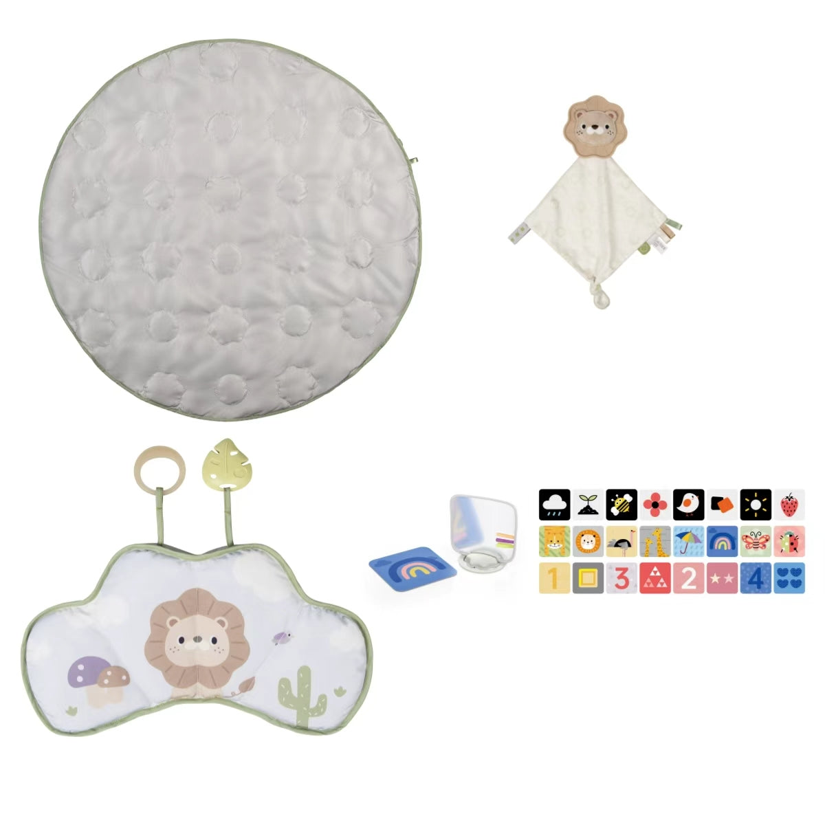 אוניברסיטה ניו בורן